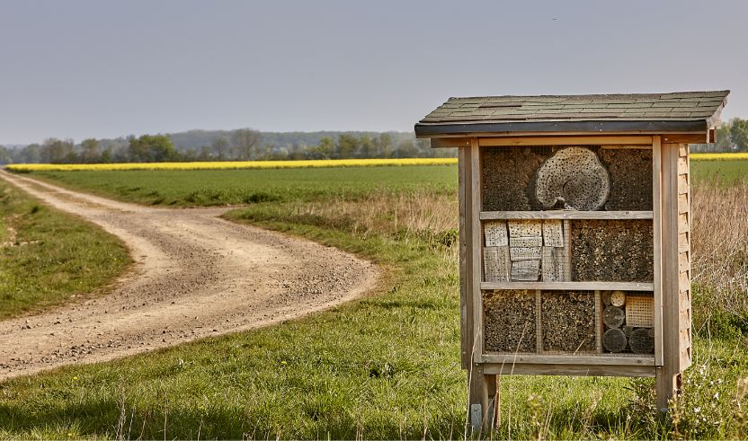 A wooden insect hotel stands in a meadow next to a winding country lane, with fields and trees in the background.