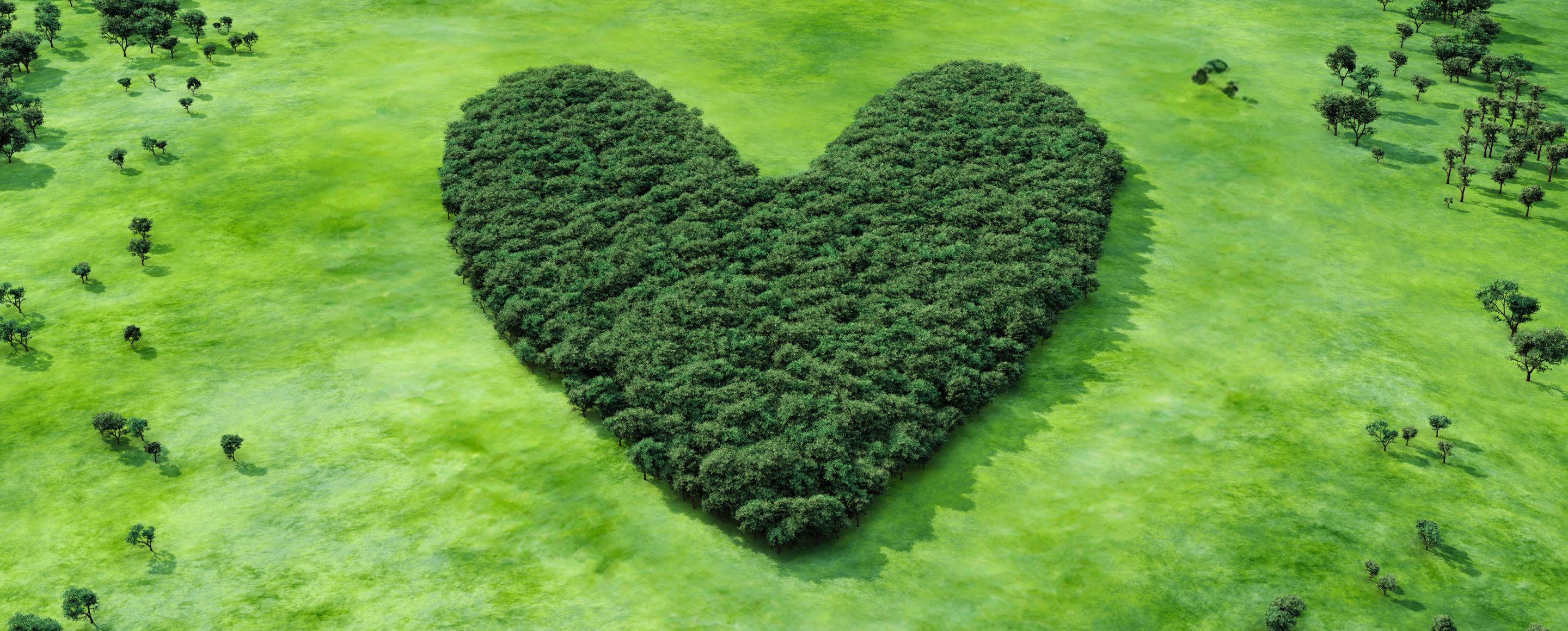 A large heart-shaped patch of dense woodland stands in stark contrast to the surrounding open, green countryside.