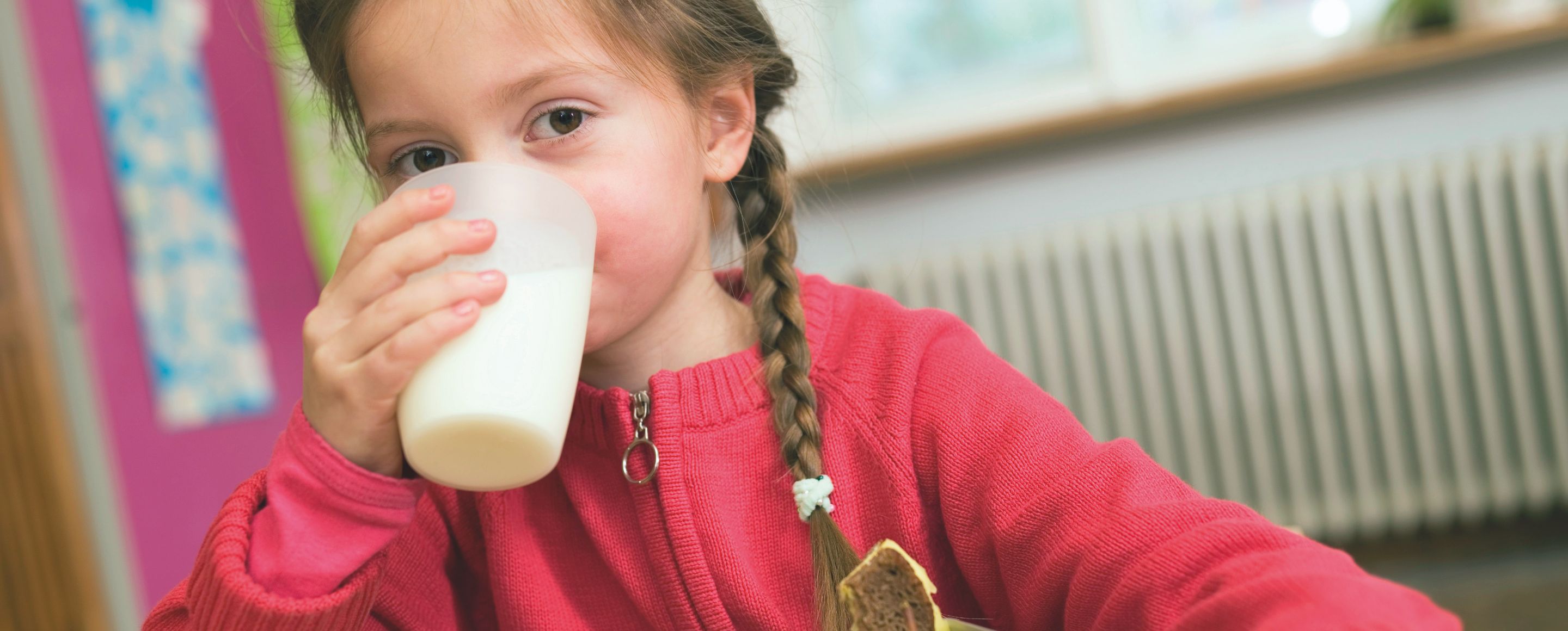 A child with plaited hair and a red jumper is sitting at a table, drinking from a cup, with a lunchbox full of food in front of them.